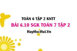 Bài 6.10 SGK Toán 7 tập 2 Kết nối tri thức